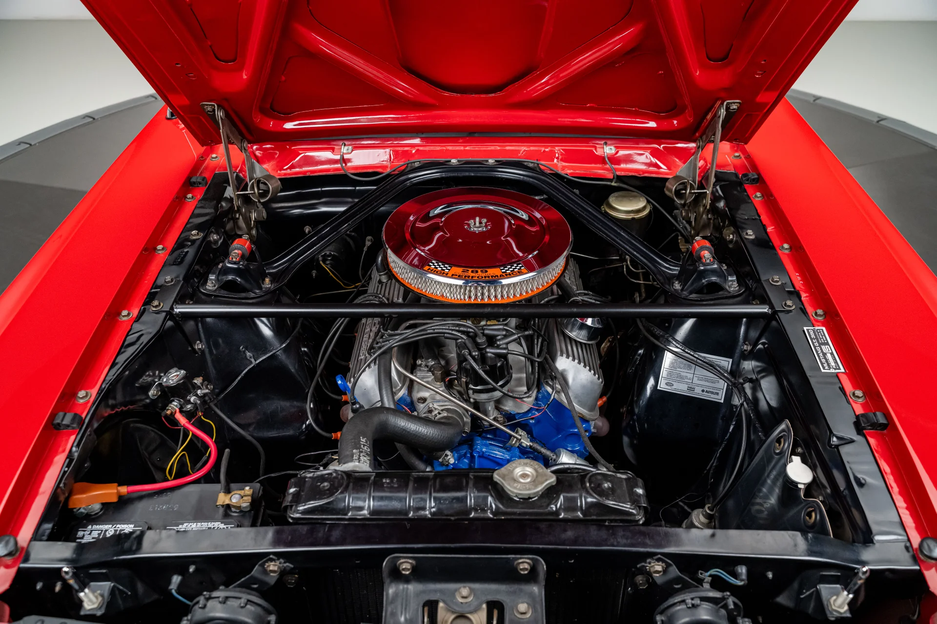 Ford Mustang Shelby GT350 - Imagem 10