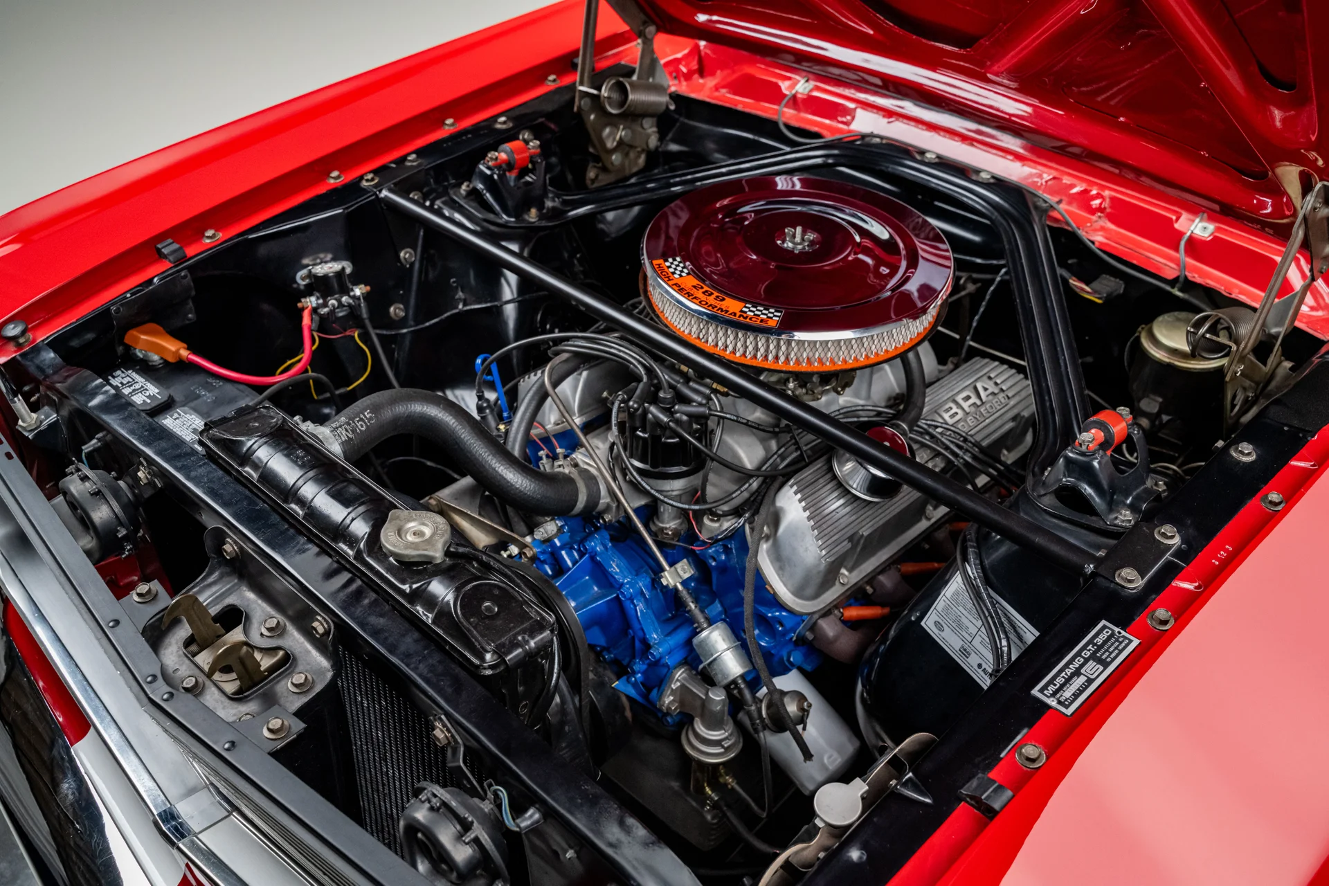 Ford Mustang Shelby GT350 - Imagem 11