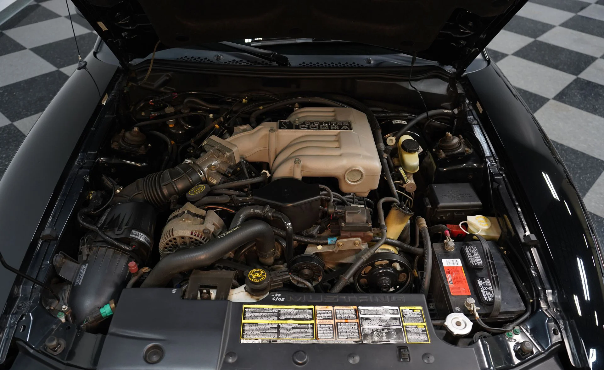 Ford Mustang SVT Cobra 1995 - foto 10