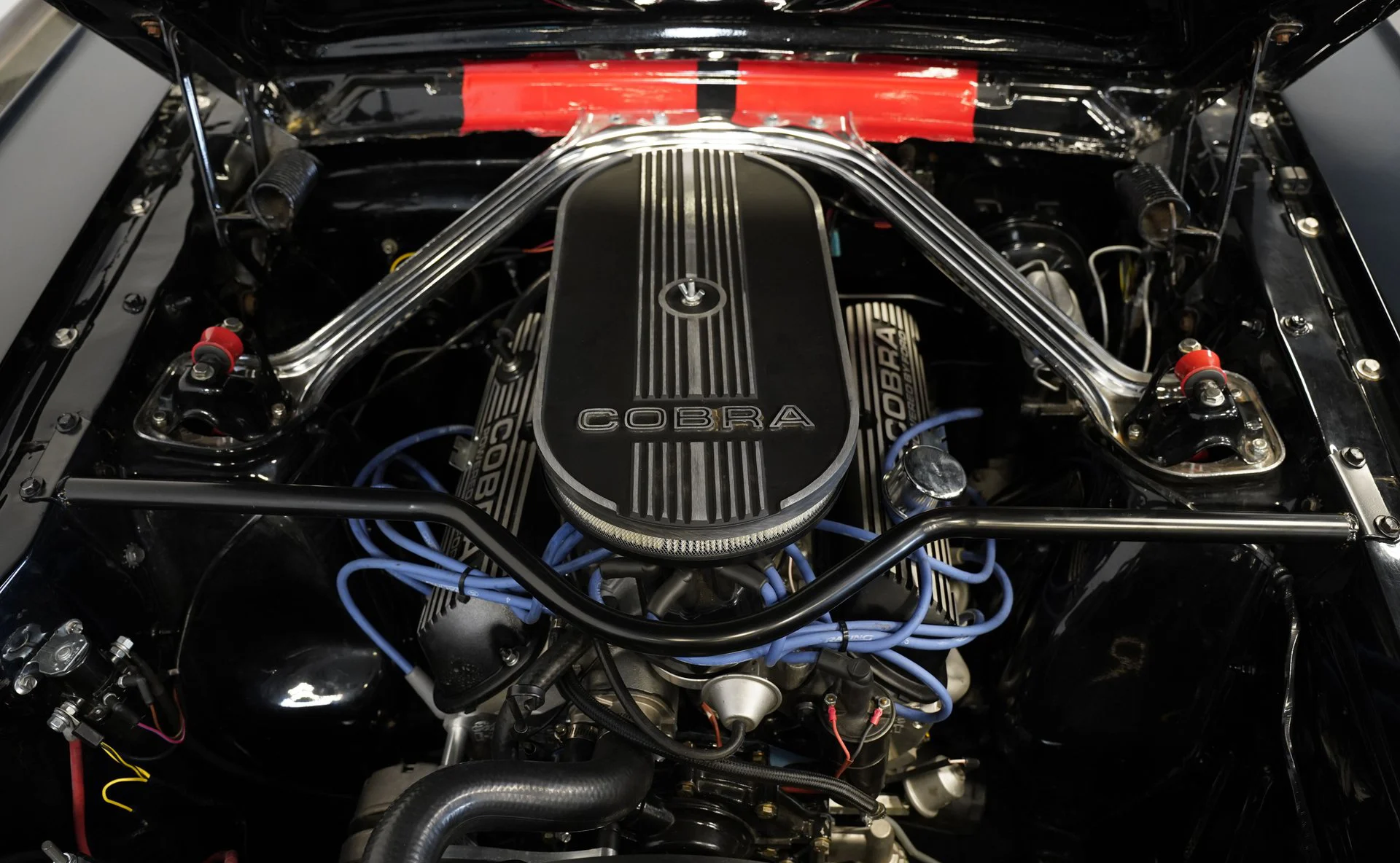 Ford Mustang Fastback GT350 Tribute 1966 - foto 14